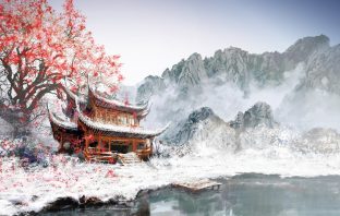 TỬ VI ĐẨU SỐ PHÚ GIẢI – Phần 8 – THAM LANG
