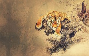 CÁCH LẬP LÁ SỐ TỬ VI