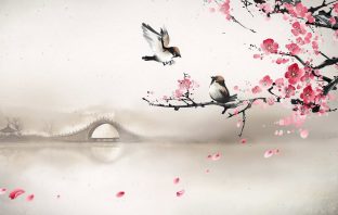 Tử Vi Đẩu Số Cách Cục Luận – Phần 4