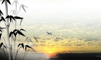 Lý giải mối Quan hệ bất biến giữa các quẻ – phần 6