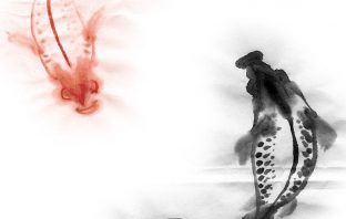 LONG MÔN BÁT CỤC THỦY PHÁP