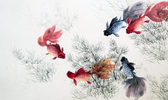 Nguyên Lý Bát Trạch – Phần 6