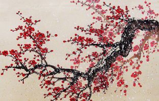 Hướng dẫn sử dụng phần mềm An La Kinh