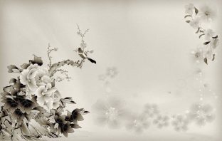 Thập Can Chiết Tự