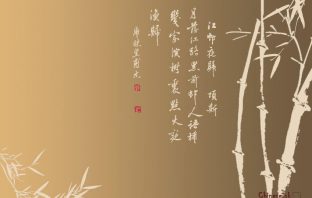DƯƠNG CƠ NGOẠI THẤT KIÊNG KỴ – PHONG THỦY HIỆN ĐẠI