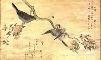 Lý giải mối Quan hệ bất biến giữa các quẻ – phần 11