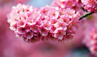 Huyền Không Đại Quái Trạch Nhật Thực Hành – Phần 1
