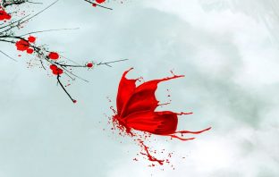 KỲ MÔN ĐỘN GIÁP BÍ KÍP ĐẠI TOÀN – Chủ Khách