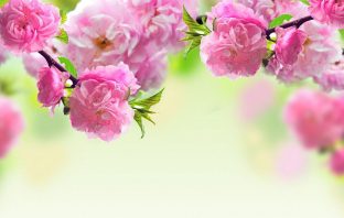 Cách tính 60 thấu địa long dùng xem lai long nhập mạch