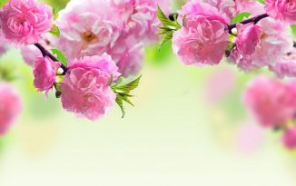 Cách tính 60 thấu địa long dùng xem lai long nhập mạch