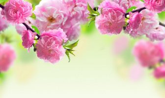 Cách tính 60 thấu địa long dùng xem lai long nhập mạch