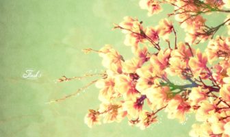 Phân Kim Trong La Kinh Thấu Giải