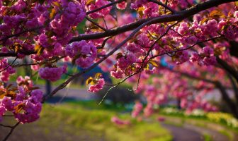 BÁT TRẠCH – HUYỀN KHÔNG NGŨ HÀNH