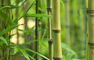 Huyền Không Đại Quái Trạch Nhật Thực Hành – Phần 2