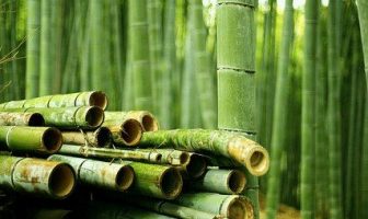 Nguyên lý hình thành bát trạch