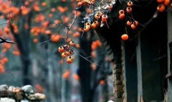 BÁT TRẠCH CỔ TRUYỀN BÍ BẢN DƯƠNG TRẠCH.